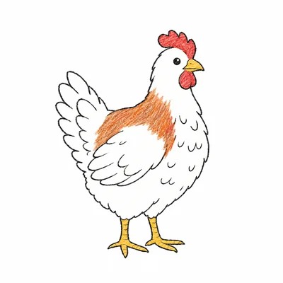 Chicken coloring pages Chicken coloring pages