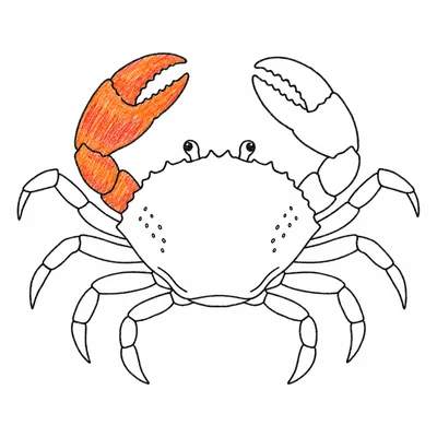 Crab coloring pages Crab coloring pages