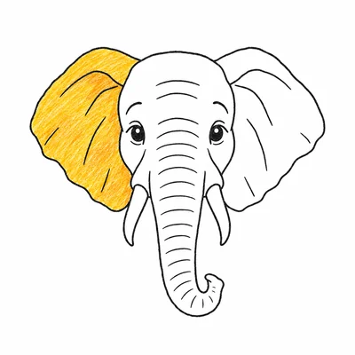 Elephant coloring pages Elephant coloring pages