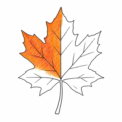 Fall coloring pages Fall coloring pages