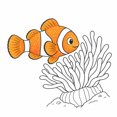 Finding Nemo coloring pages Finding Nemo coloring pages