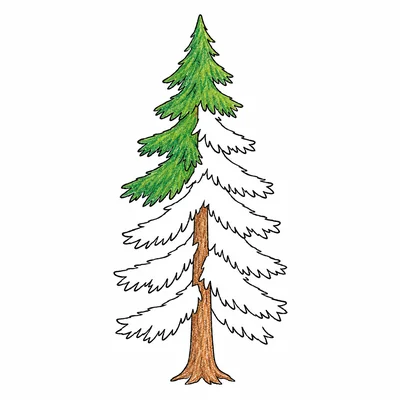 Forest coloring pages Forest coloring pages