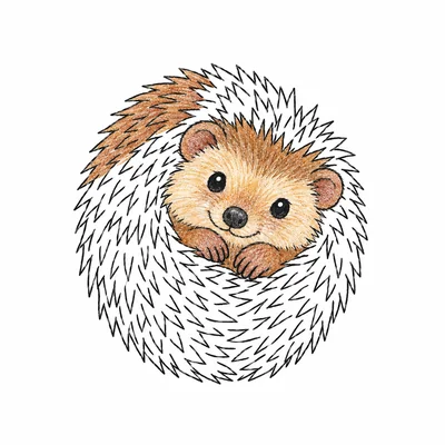 Hedgehog coloring pages Hedgehog coloring pages