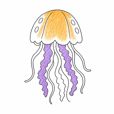 Jellyfish coloring pages Jellyfish coloring pages
