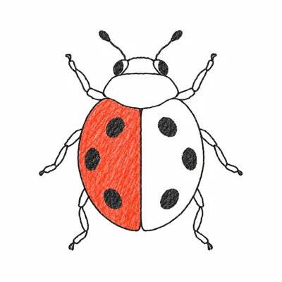Ladybug coloring pages Ladybug coloring pages