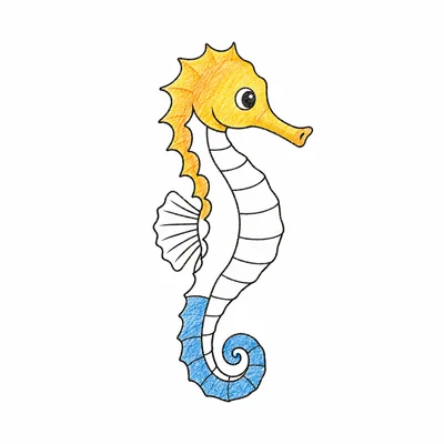 Seahorse coloring pages Seahorse coloring pages