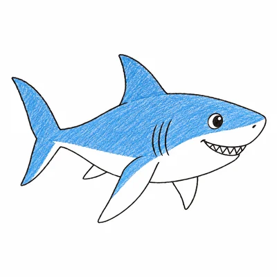 Shark coloring pages Shark coloring pages