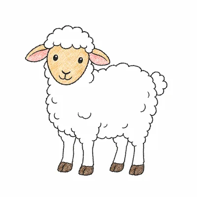 Sheep coloring pages Sheep coloring pages