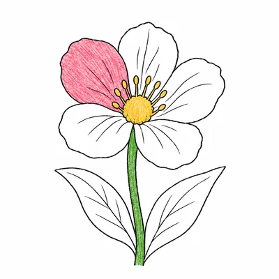 Spring coloring pages Spring coloring pages