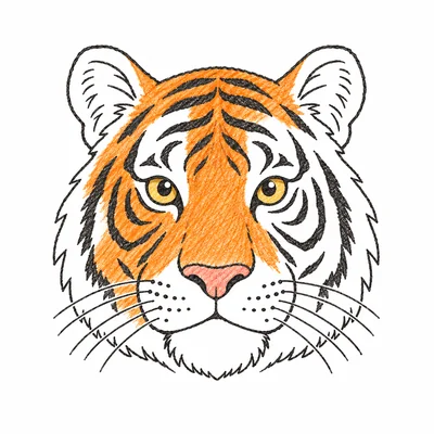 Tiger coloring pages Tiger coloring pages