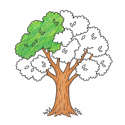 Tree coloring pages Tree coloring pages