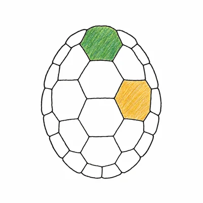 Turtle coloring pages Turtle coloring pages