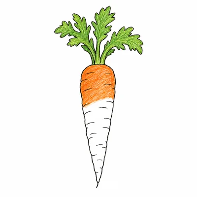 Vegetable coloring pages Vegetable coloring pages