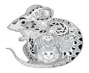 adult animals mouse