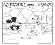 mickey gives pluto and apple disney c369