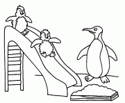 penguin color page 64d5b coloring pages