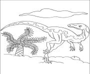 dinosaur 75