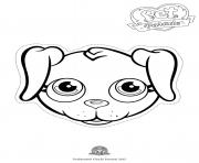 pet parade cute dog labradog 2