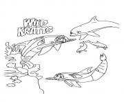 wild kratts The In Underwater Expedition