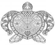 advanced adult zentangle zen turtle