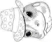 3 little dassies mask agama man by jan brett