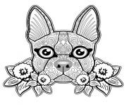 sugar skull critter calavera