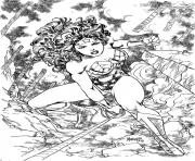 superhero wonder woman adult