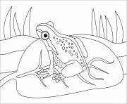 frog animal simple coloring pages