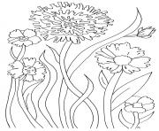 simple flowers for adult relaxing