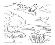 fall ducks flying near lake