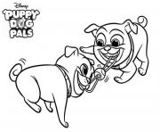 Puppy Dog Pals Dogs Playing