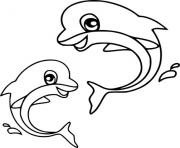two baby dolphins