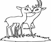 Printable Two Deer Kisses Each Other coloring pages