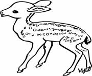 Printable Baby Deer Walking coloring pages