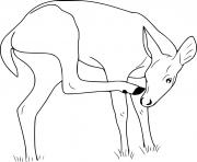 Printable Deer Eating Grass coloring pages