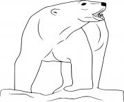 Roaring Polar Bear