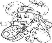 Marshall Harvests Pumpkins and Apples