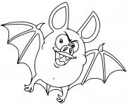 vampire bat