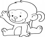 Cute Baby Monkey