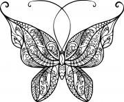 Long Antenna Zentangle Butterfly
